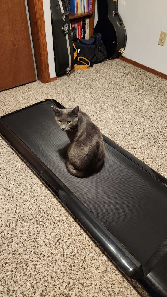 Gruber next to dumbbells