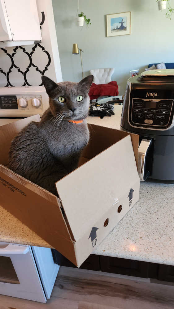 Gruber in a box