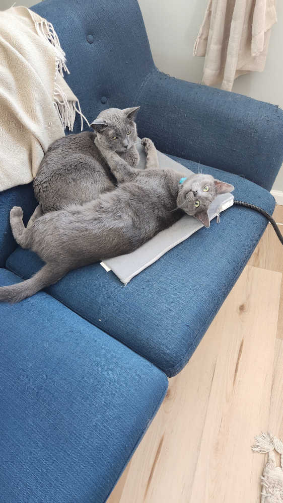 Gruber next to dumbbells